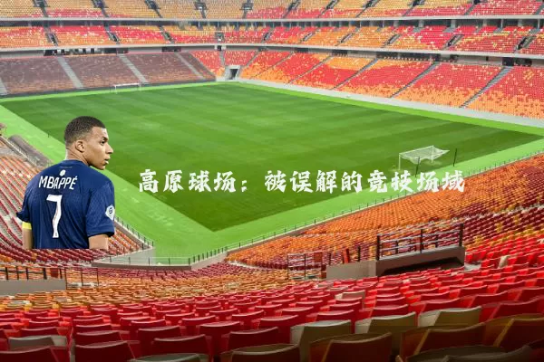 高原球场：被误解的竞技场域